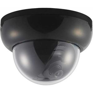 HD-SDI 1080p Indoor Medium SUPERDOME® Camera (XDM-202)