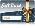 $300 Gift Card