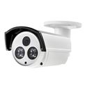 1000 TVL Bullet Security Camera 8mm Fixed Lens 2 Matrix IRs IP66 (CMR8612)